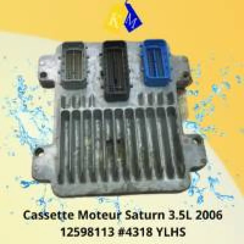 Saturn 2006 3.5L Calculateur Moteur Saturn 3.5L 2006 12598113 #4318 YLHS