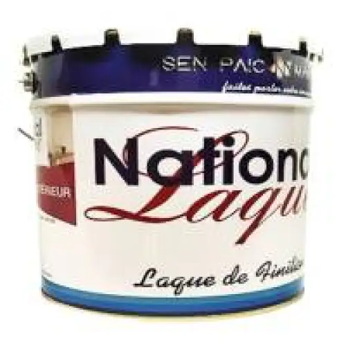 PEINTURE ENDUIT LAQUE NATIONAL SEN PAIC 20KG