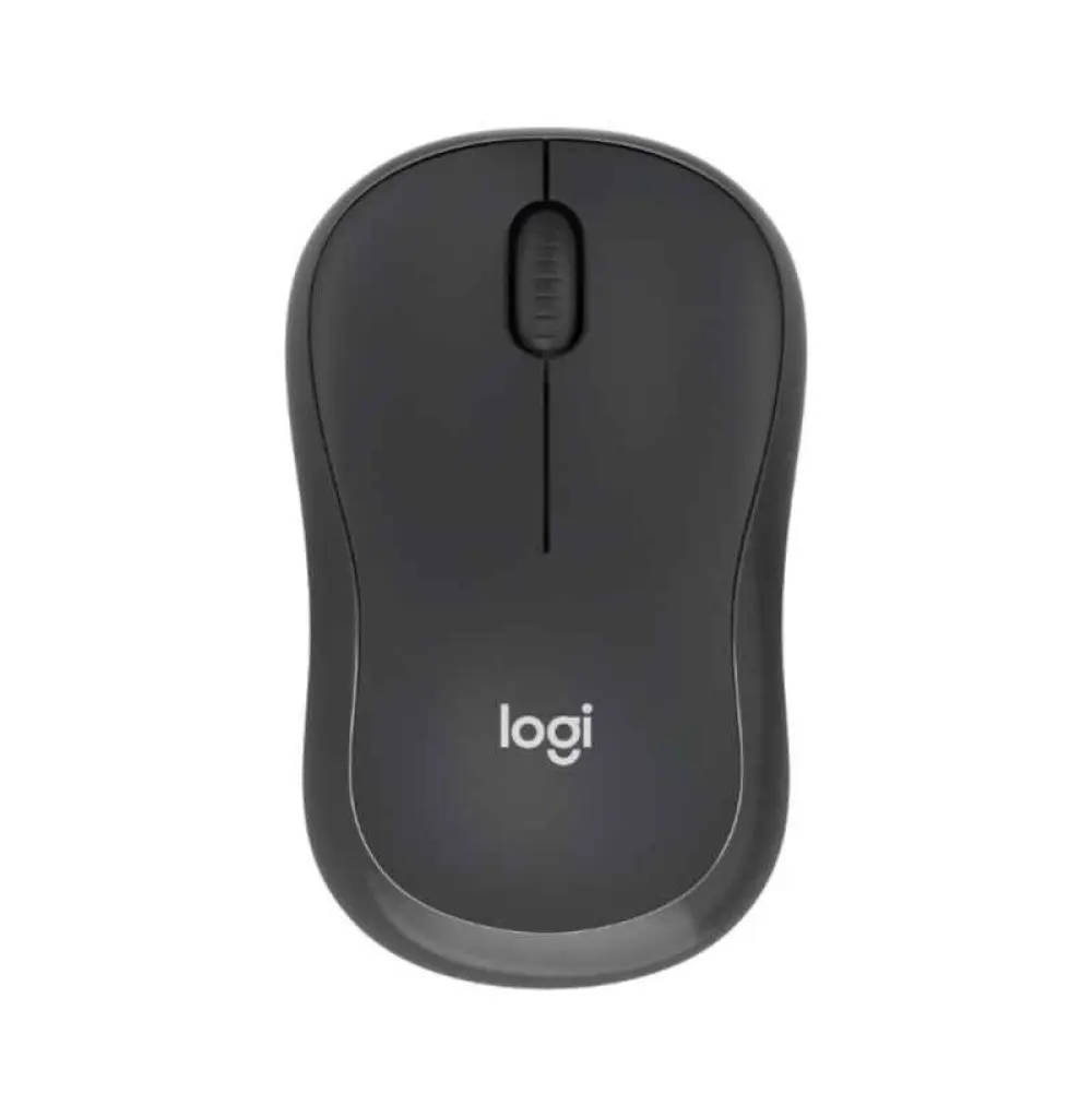 Souris Logitech M240 Silent (Graphite)s