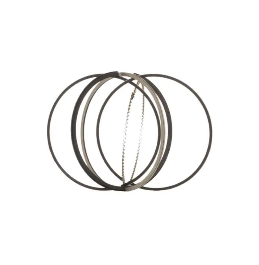 8904230000 Jeu de segments de pistons 123,00mm DE RVI, (D25bA)