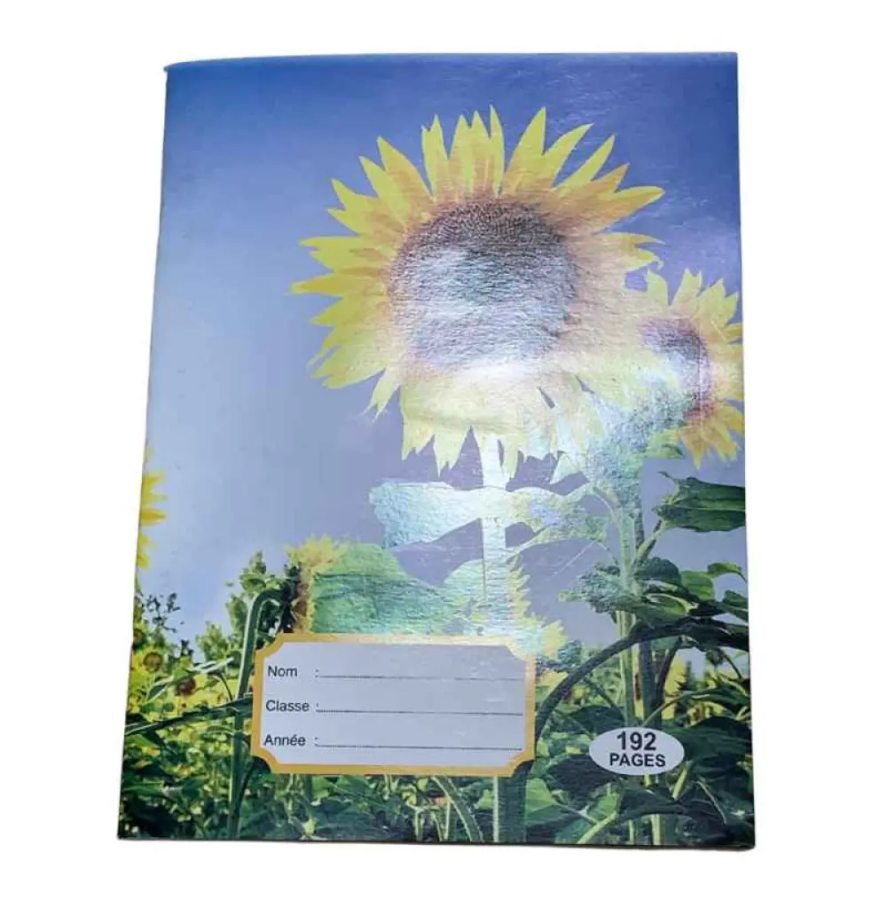 Cahier de 200 pages séyès (192 pages)