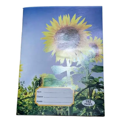 Cahier de 200 pages séyès (192 pages)