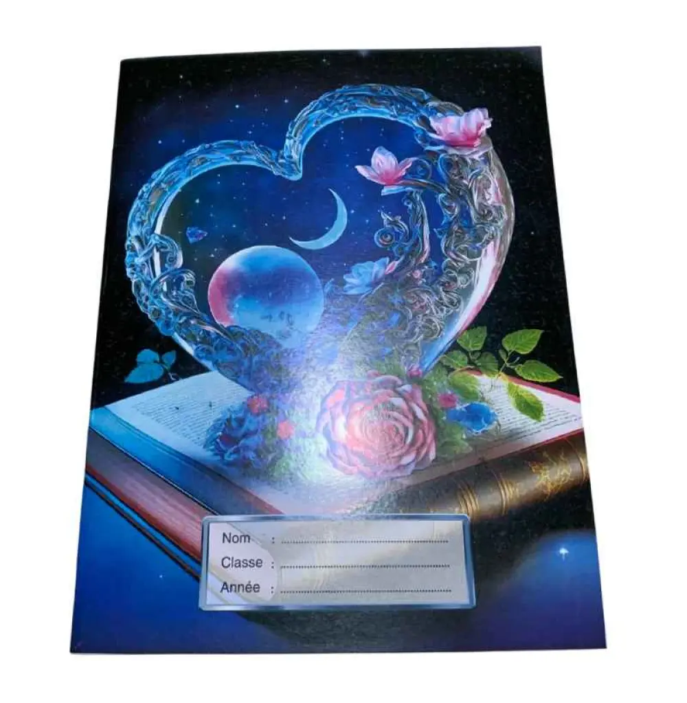 Cahier de  100 pages séyès (96 pages)