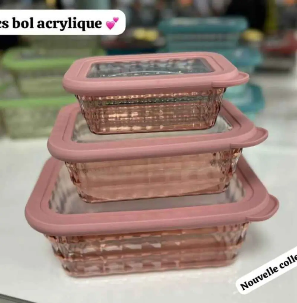 Nouvelle Collection : Ensemble de 3 Bols Acryliques Élégants