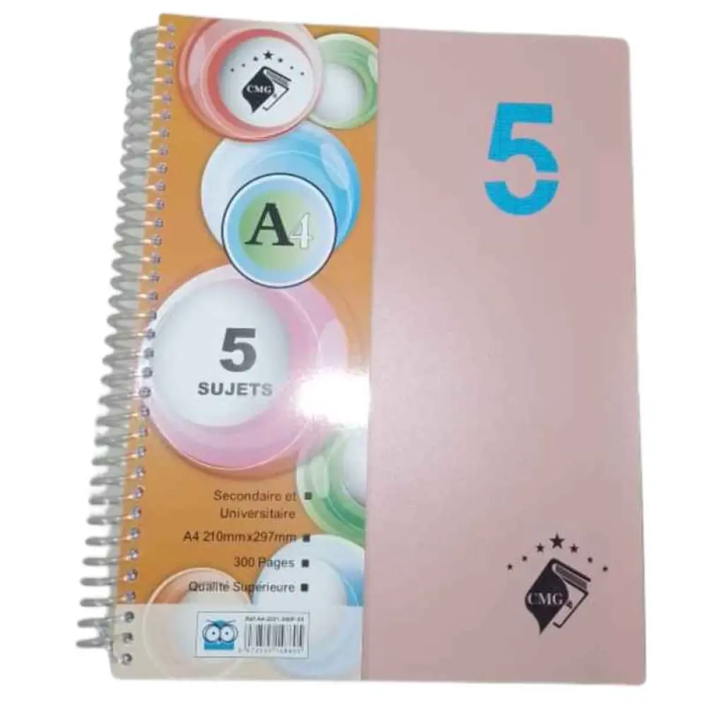 Cahier spirale 5 matières format A4 210mmx297mm 300 pages