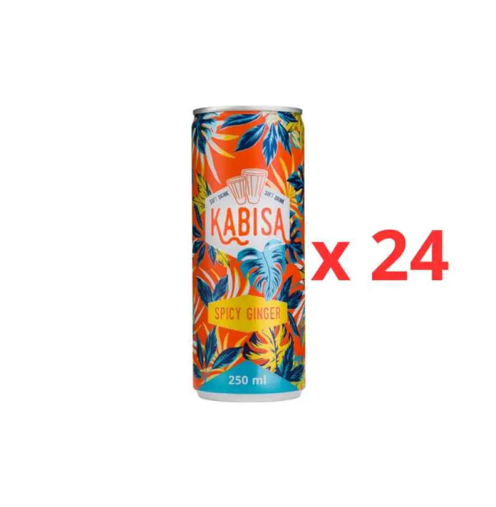 KABISA Gingembre épicé 250 ml x 24, meilleure boisson / Carton