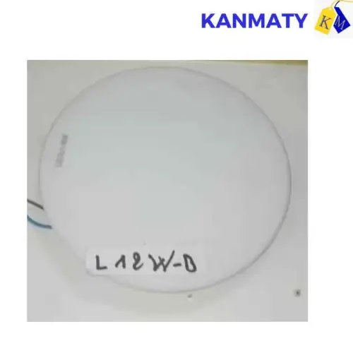Lampe plafonnier blanc led L12W-B led light