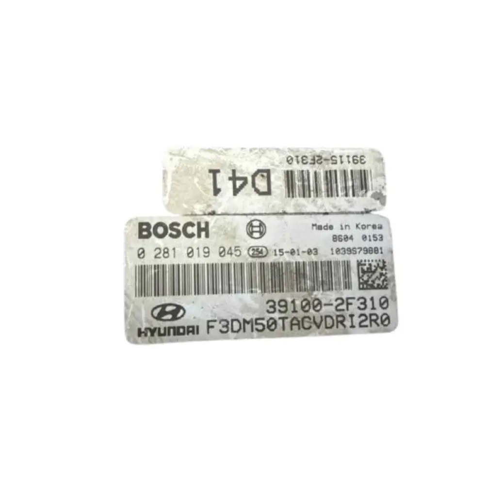 HYUNDAI SANTA FE 2.2D 39100-2F310 0281019045 D41 BOSCH Calculateur moteur