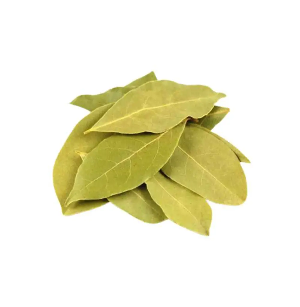 Laurier sauce – feuilles – Bio 250g
