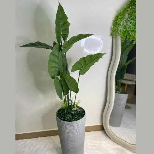 Vase decoratif a  base de Philodendron.