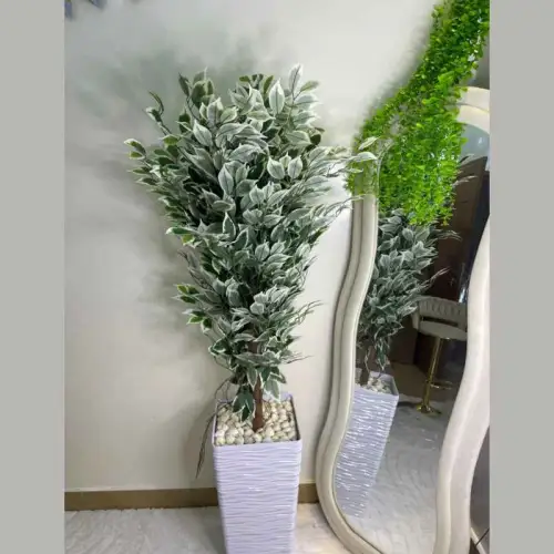 Vases décoratif à base de Ficus, Plante decorative
