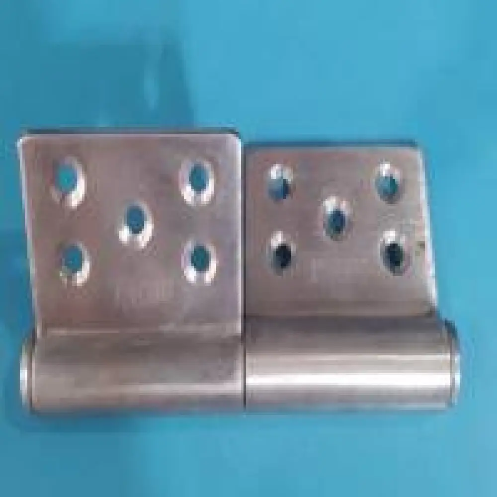Paumelle de porte, Charnière pour porte Inox